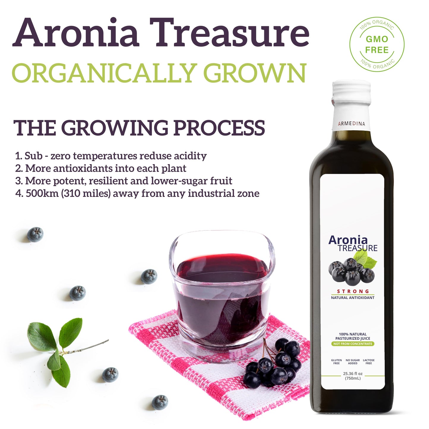 [Aronia Treasure] 100% Aronia Berry Juice: Rich In Antioxidants, Gluten-Free, Vegan, Not From Concentrate, Made From Premium Aro