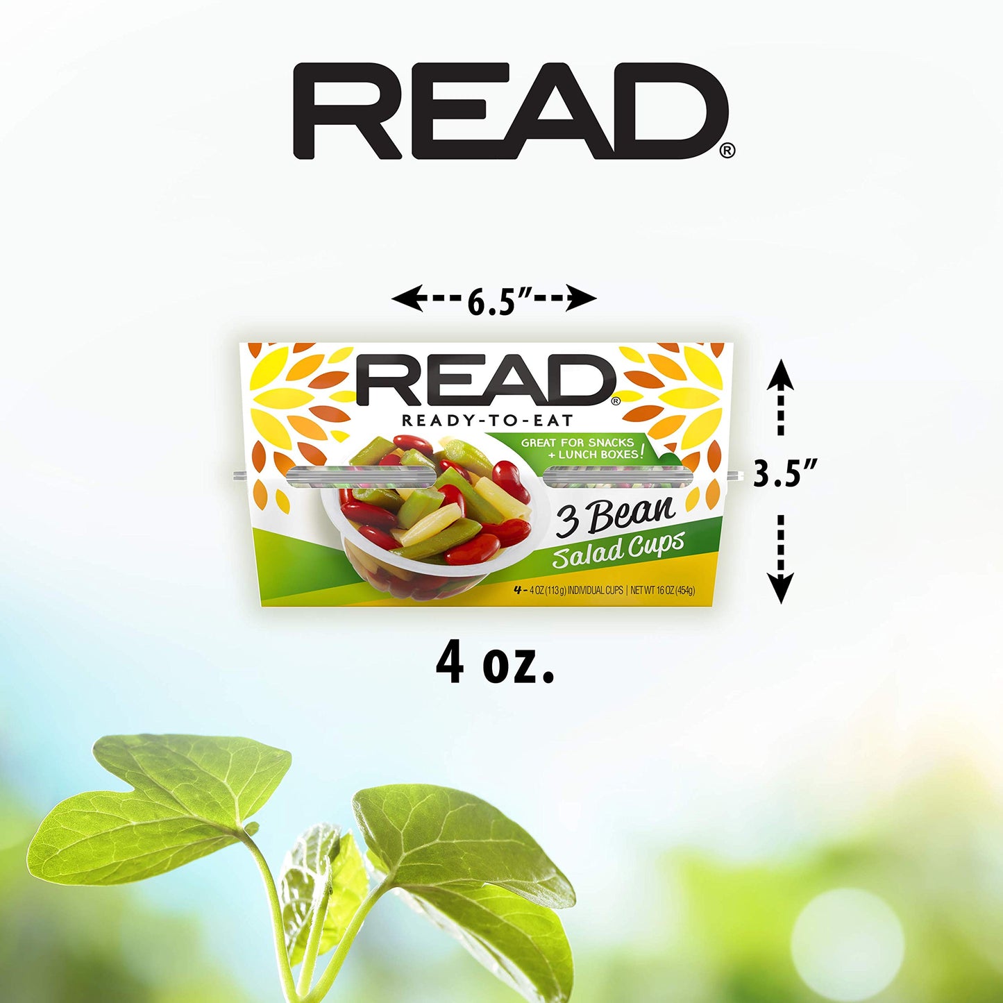 READ Three Bean Salad - Classic, Tangy & Sweet, 4 Ounce Cups, Pack of 24