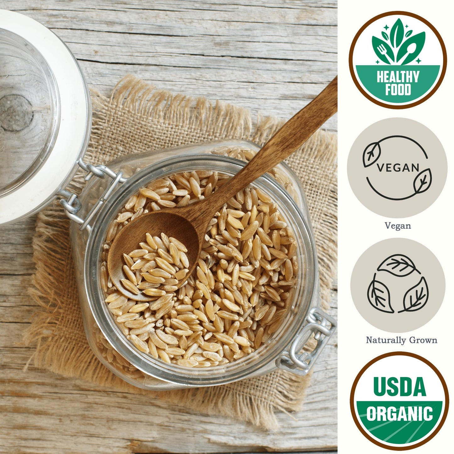 Be Still Farms Organic Kamut Wheat Berries Khorasan (4.8lb) - Ancient Whole Grain Bulk - Ideal for Flour, Pasta, Salads, Soups -