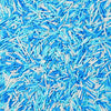 Blue and White Jimmies Sprinkles for Baking 7 oz - Winter Sprinkles for Cookies, Cakes, Cupcakes, Ice Cream, Chocolate | Perfect