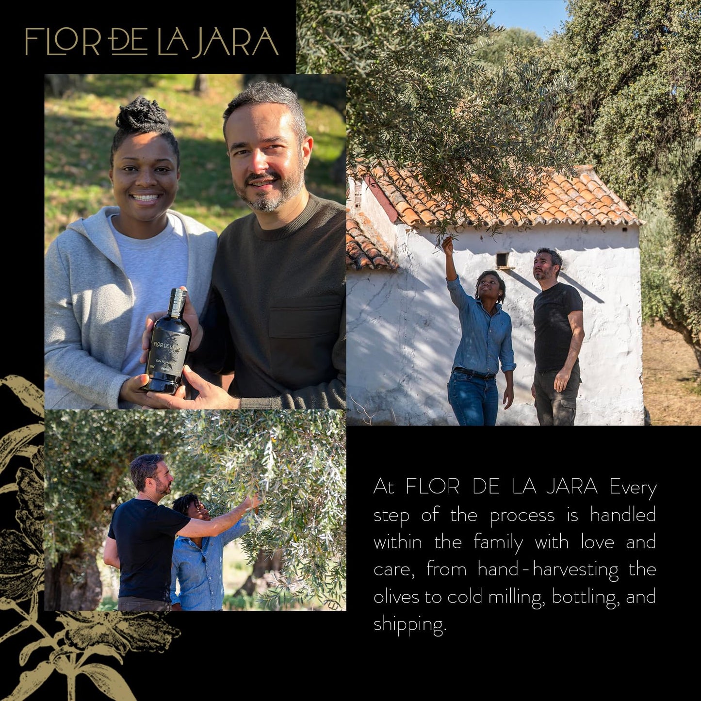 FLOR DE LA JARA Premium Extra Virgin Olive Oil, First Cold Pressed, Monovarietal Arbequina, 500 ml, Low Acidity (0.1%)