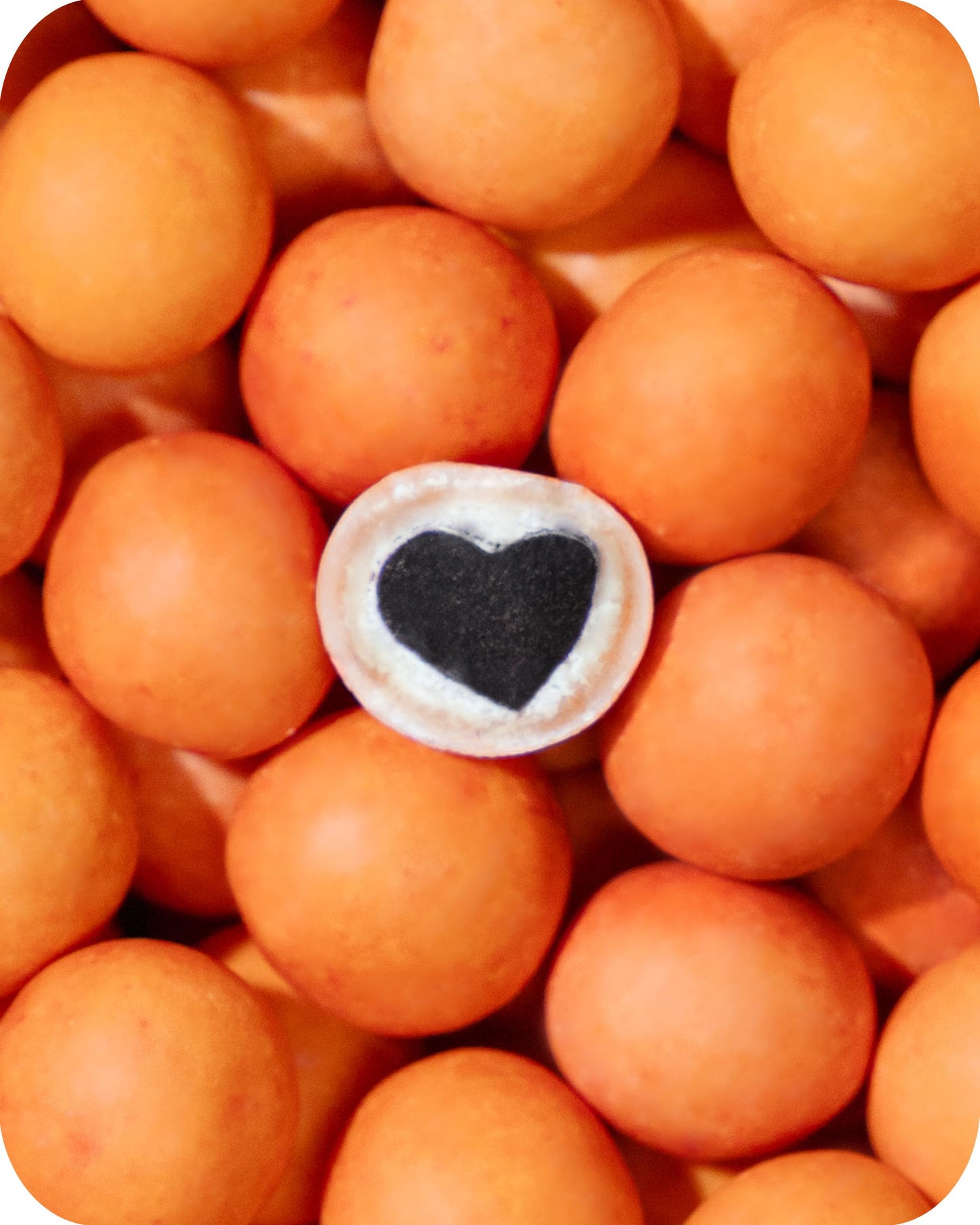 Lakrids By Blow - Peaches - 10.4 Oz - Chocolate Coated Gourmet Licorice - Sweet Licorice Core Coated In White Chocolate & Peach
