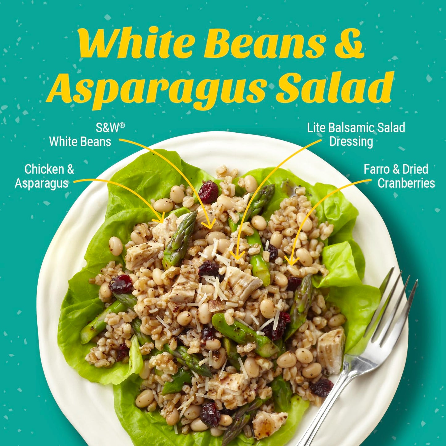 S&W Canned White Beans, Navy Beans, Plant Protein And Fiber, Gluten Free, Vegan, Fat Free, 12 Pack Of 15.5 Oz Cans