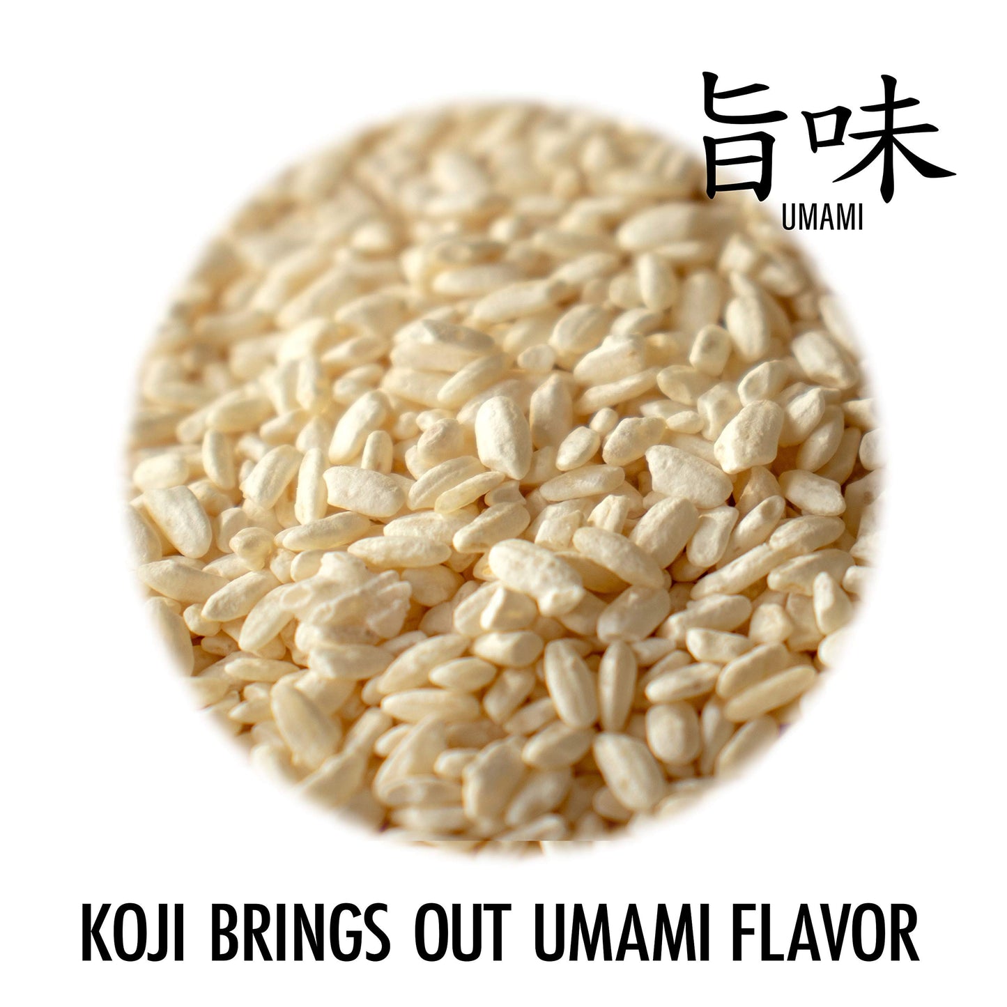 chaganju KOJI Umami Seasoning Rice Paste for Marinade 12.3oz