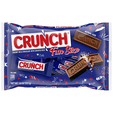CRUNCH Milk Chocolate and Crisped Rice  Fun Size Candy Bars  12 Bags  10 oz Each Bag