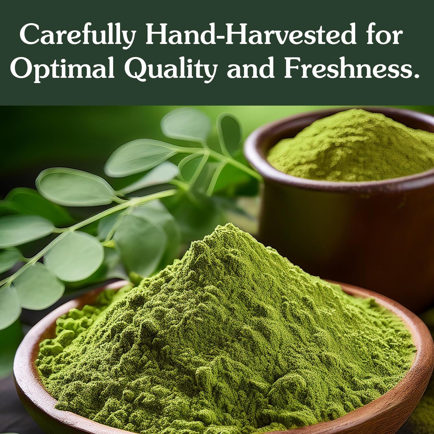 Ancient Roots Moringa Powder 100% Pure & Natural, Non-Gmo, Gluten-Free Finely Ground Moringa Leaf For Smoothies, Teas, And Recip