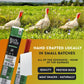 Nicks Sticks Clean & Balanced Free Range Turkey Snack Sticks | Made In The Usa | Gluten Free | Paleo | Keto | Whole30 Approved | No Soy,  S Or  S (12 – .9 Oz. Packs Of 1 Sticks)