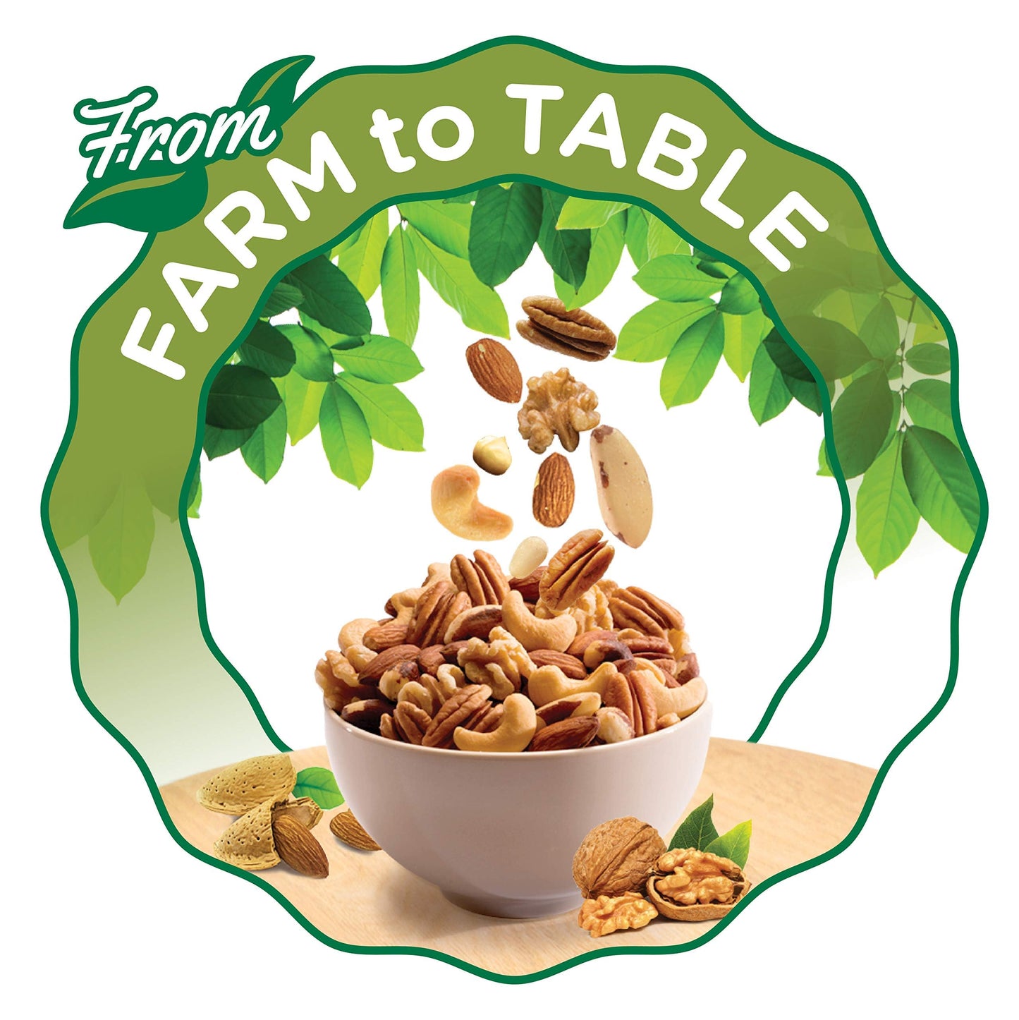 FISHER Snack Mixed Nuts with Peanuts, 24 oz Almonds, Cashews, Filberts, Pecans, Brazil Nuts,