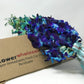 Premium Cut Purple Orchids (Support Small Business) (Blue, 10 Stems With Vase)