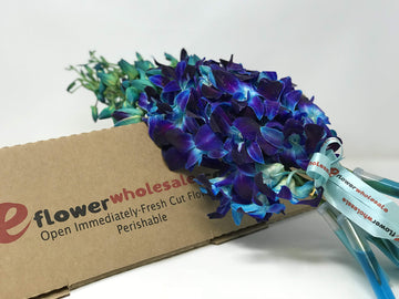Premium Cut Purple Orchids (Support Small Business) (Blue, 10 Stems With Vase)