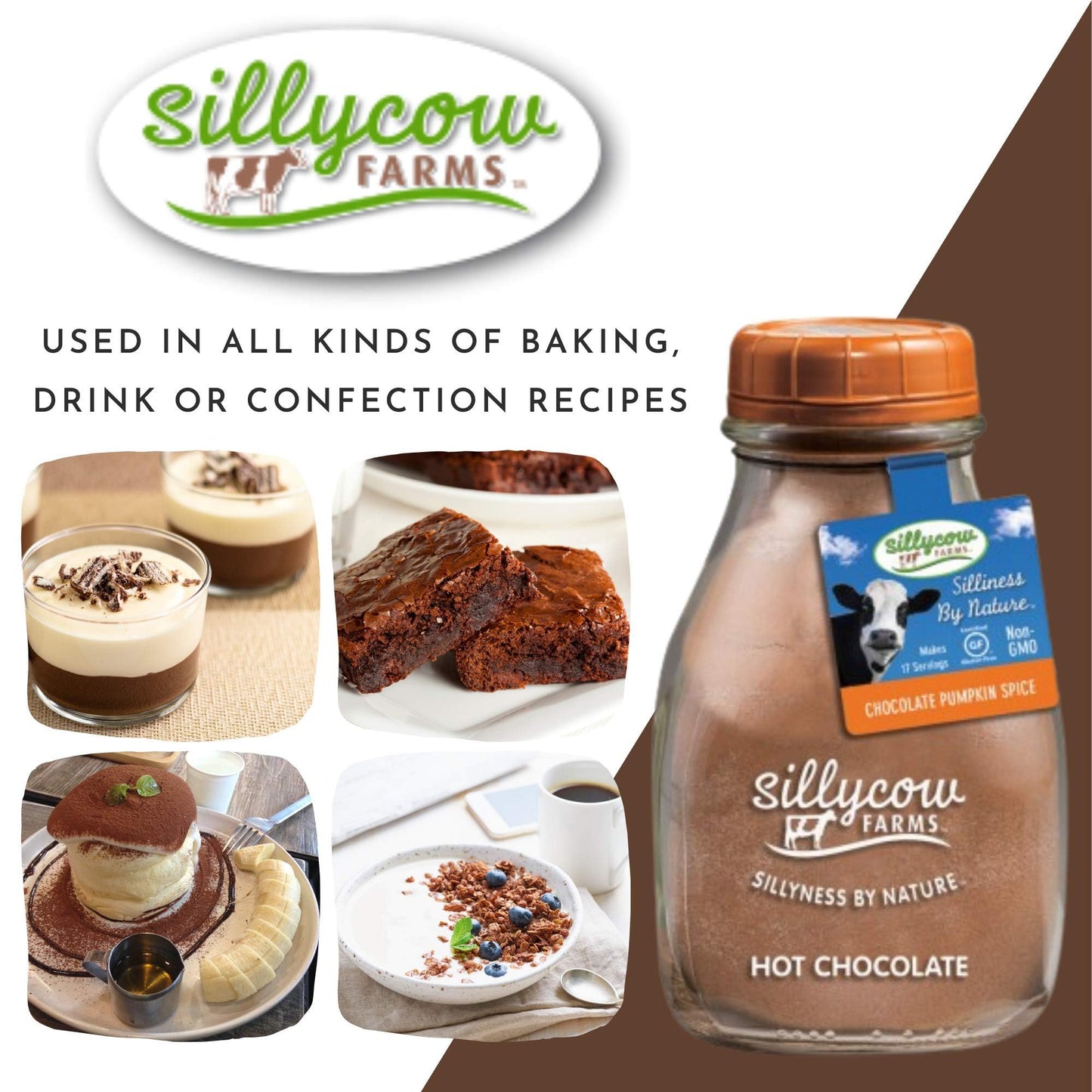 Silly Cow Farms Hot Cocoa Pumpkin Spice Mix - Gluten Free, Dairy Free, 16.9 oz Glass Bottle, Pack of 6