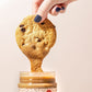 KWEEN Oat Haus Cookie Dough Granola Butter (Chipless) | Peanut-free, Almond (Tree-Nut) Free, & School-Safe (Top 8 Allergen Free)