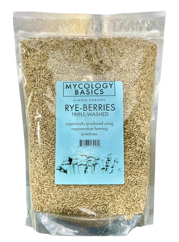 Rye Berries For Mushroom Spawn - Organic, Triple Washed Rye Grain To Make Mushroom Grainspawn By Mycology Basics - 5 Lbs