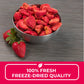 Nutristore Freeze Dried Strawberries | 100% Natural, Healthy Fruit Snacks Bulk | Premium Quality & Crispy Fresh Taste | Emergenc