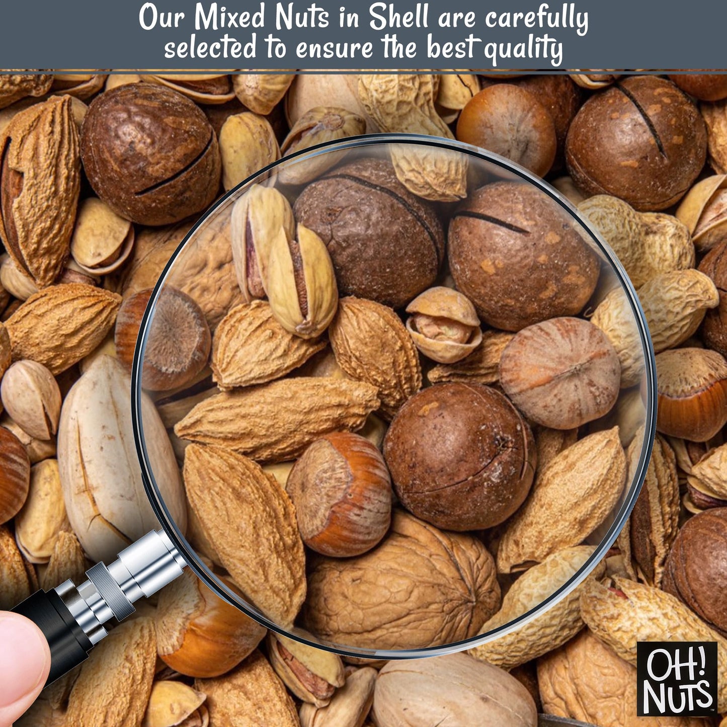 Mixed Nuts In Shell | Raw - 100% Natural | 3 Lb | Jumbo-Sized Premium Shelled Nuts | Packed In New York Zip-Seal Bag For Exceptional Freshness By Oh Nuts