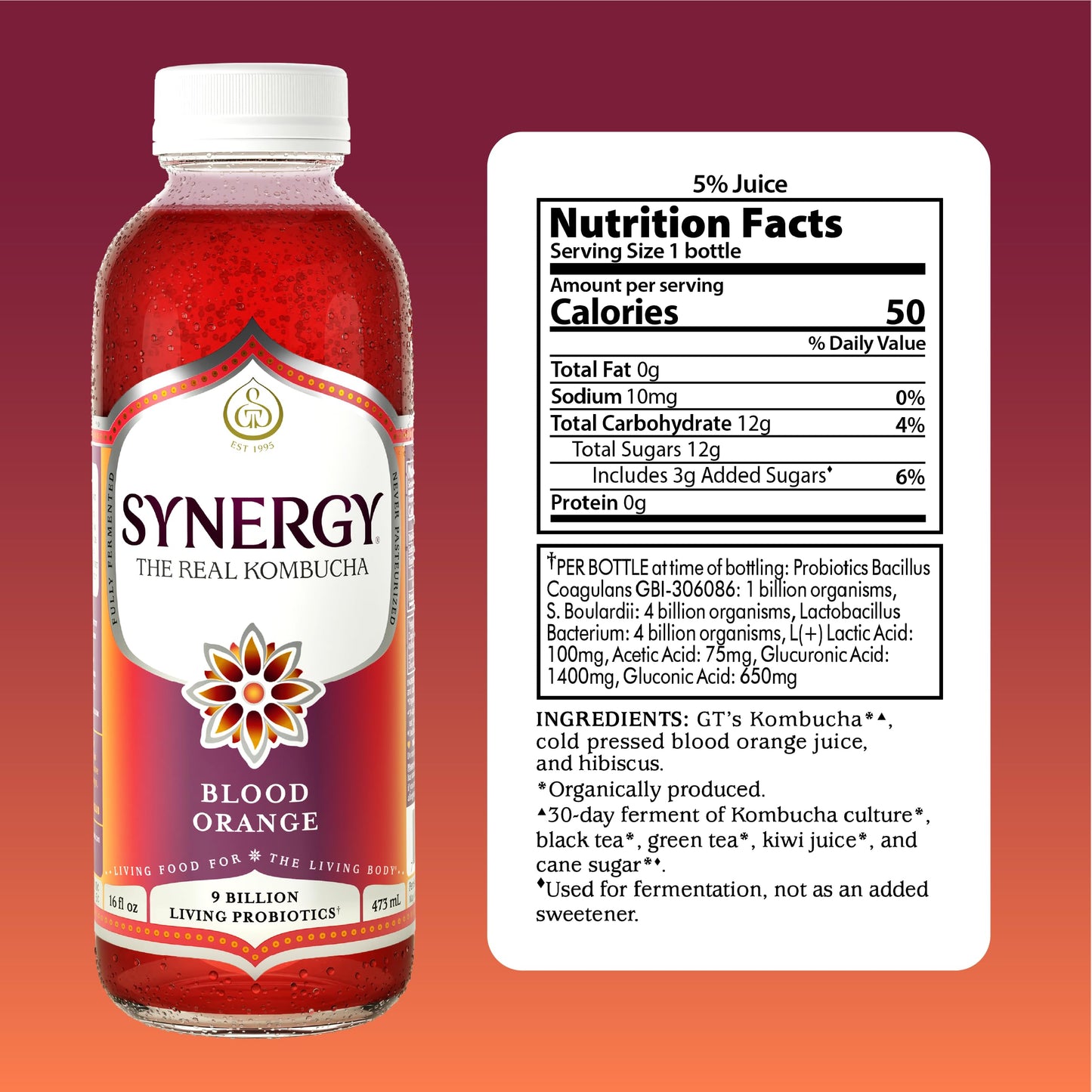 SYNERGY The Real Kombucha - Blood Orange - 16 fl oz Bottle - Raw Probiotic Drink for Gut Health and Immune Support
