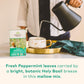 ORGANIC INDIA Tulsi Peppermint Tea - Caffeine Free Herbal Mint - 18 Infusion Bags, 3 Pack - Vegan, USDA Organic, Fairtrade