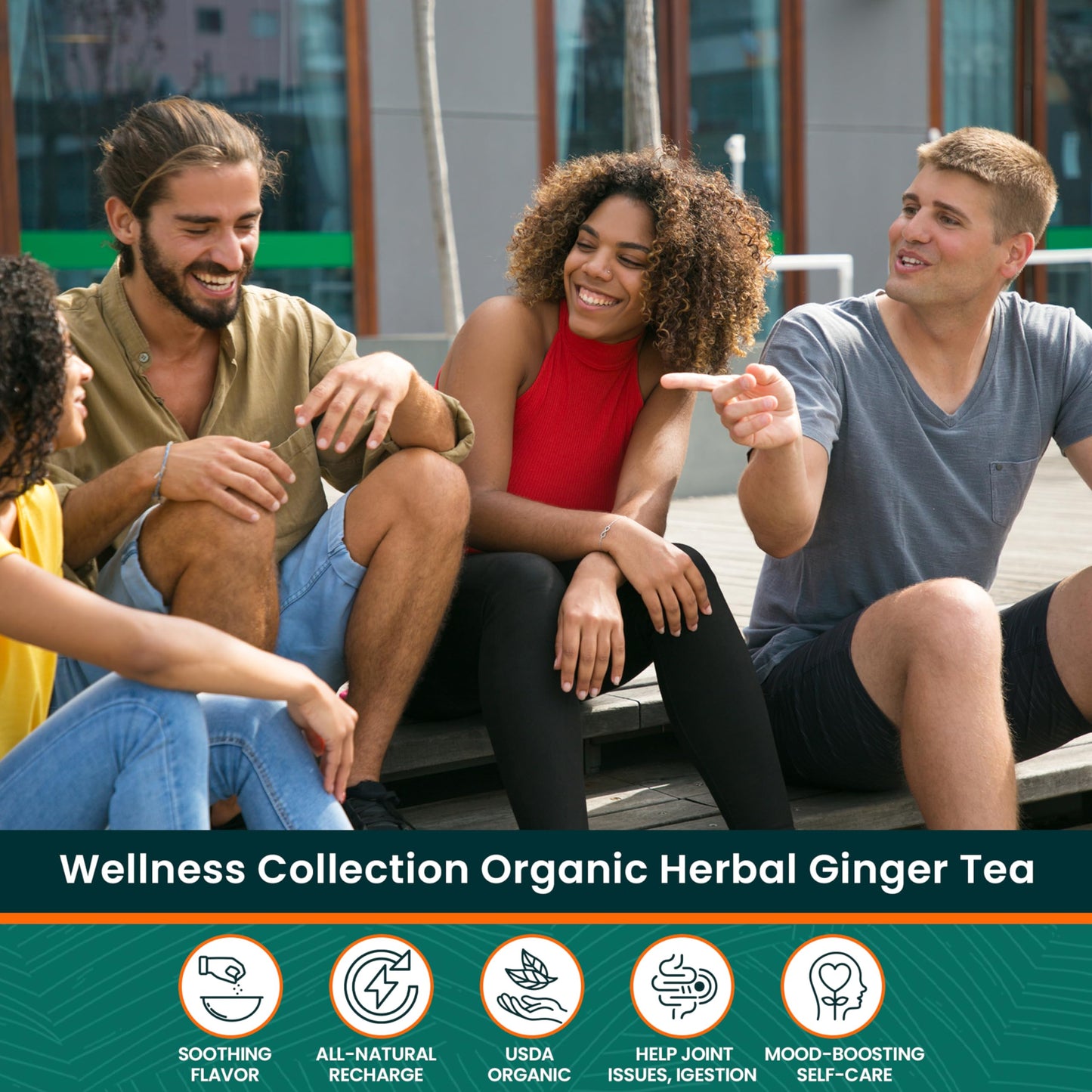 Herbaly Wellness Collection Organic Herbal Ginger Tea, 70 G, 28 Count Bag (Pack Of 1)