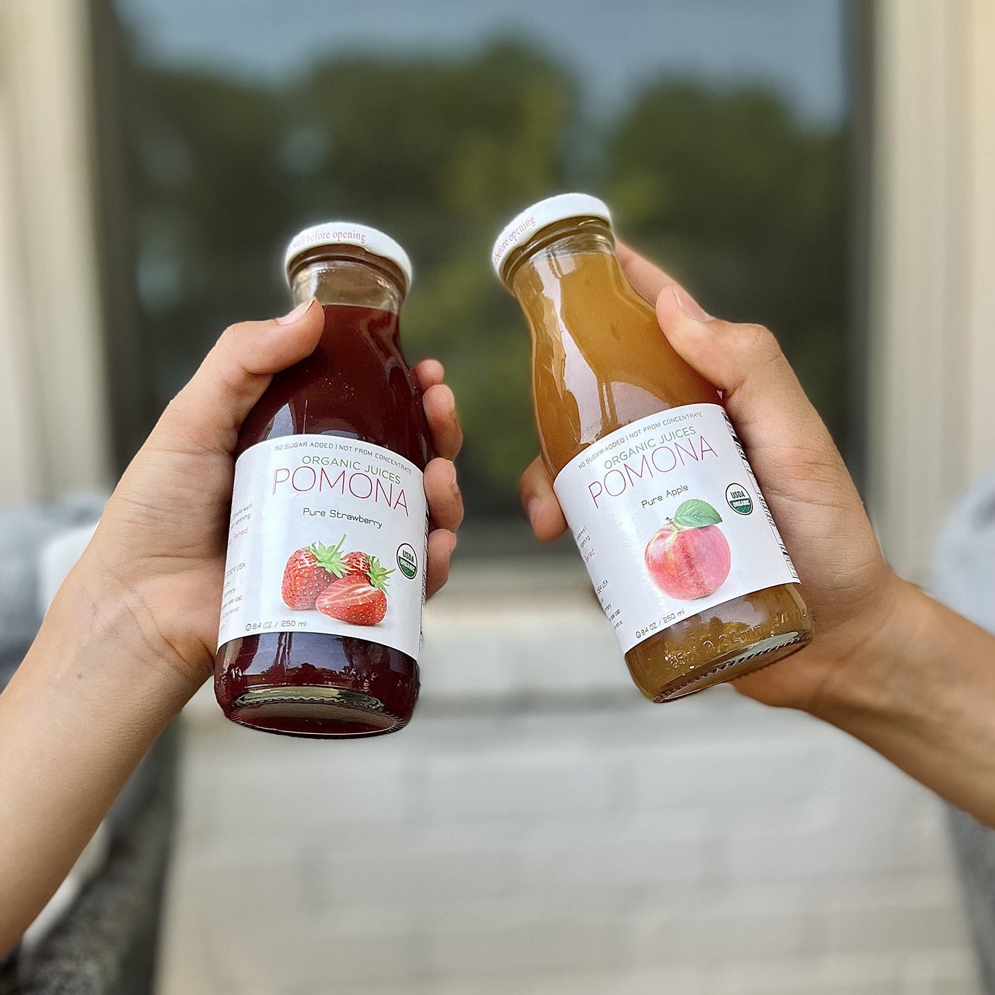 Pomona Organic Apple Juice (Pack Of 12), Cold Pressed Usda Organic Juices, Apples And Lemon Juice, No Added Sugar, Not From Concentrate, Vegan, Kosher, Non Gmo, Pasteurized, 8.4 Oz Glass Bottles