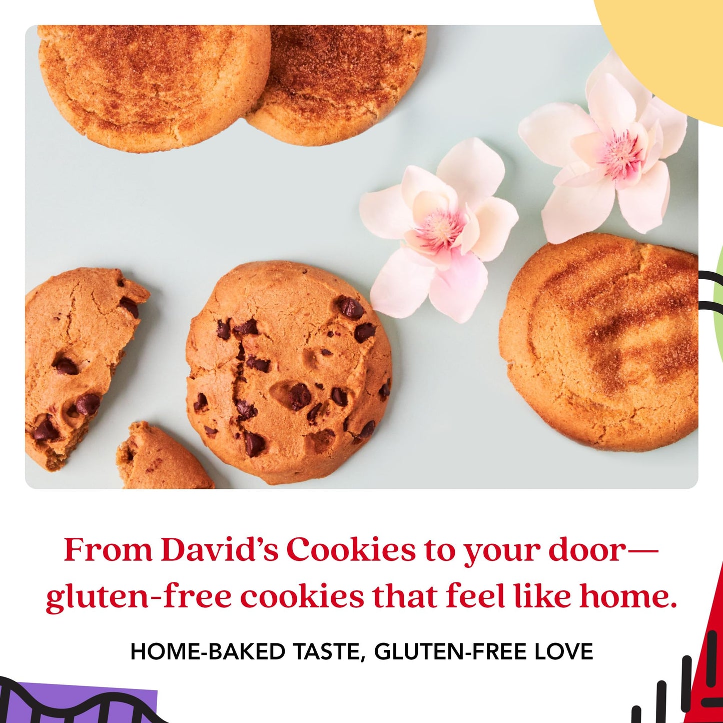 DAVIDS COOKIES Gluten-Free Cookie Gift Sampler Tin - Chocolate Chip & Snickerdoodle - 5x5x5 Inches