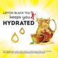 Lipton Black Tea 24 Count Pack of 2 Standard