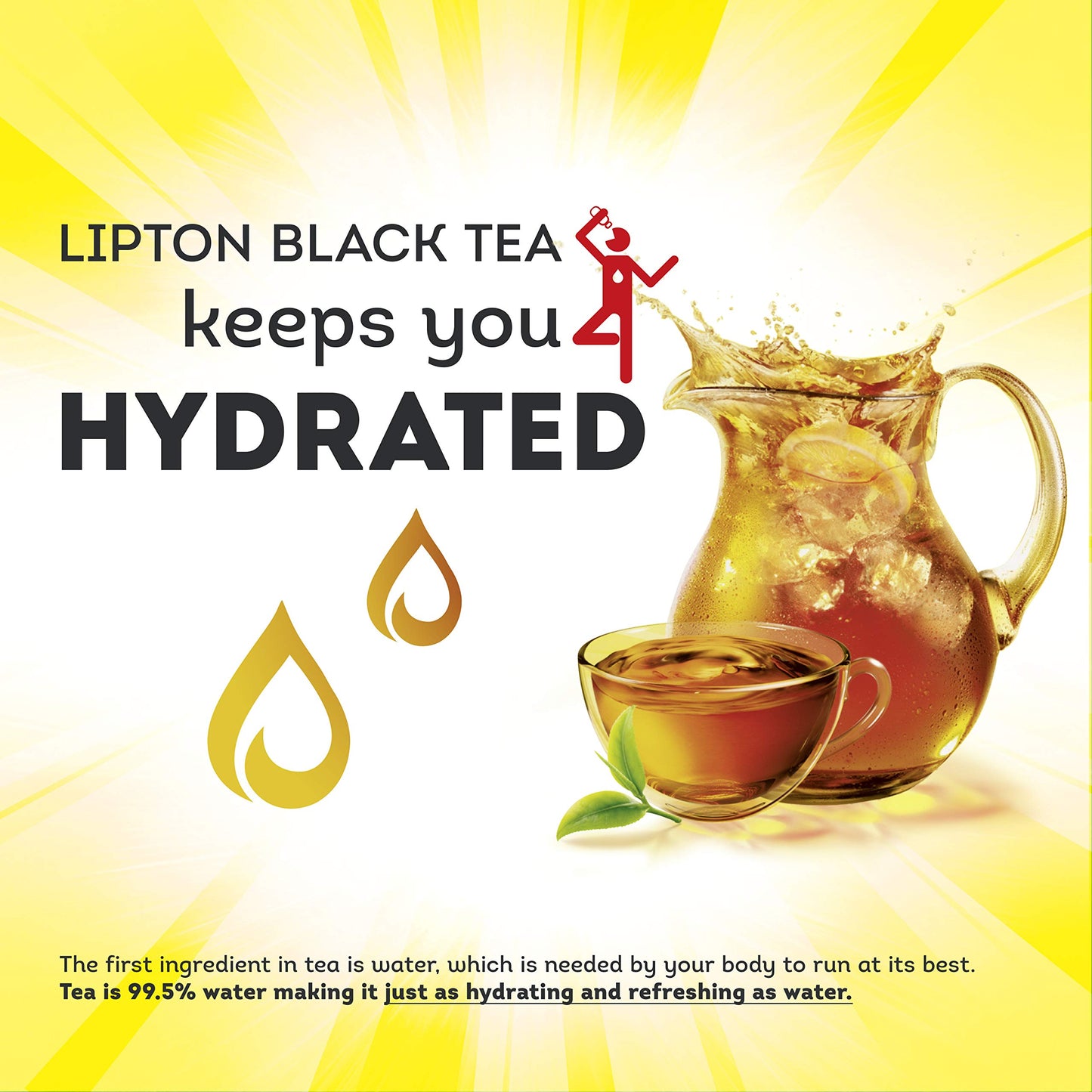 Lipton Black Tea 24 Count Pack of 2 Standard