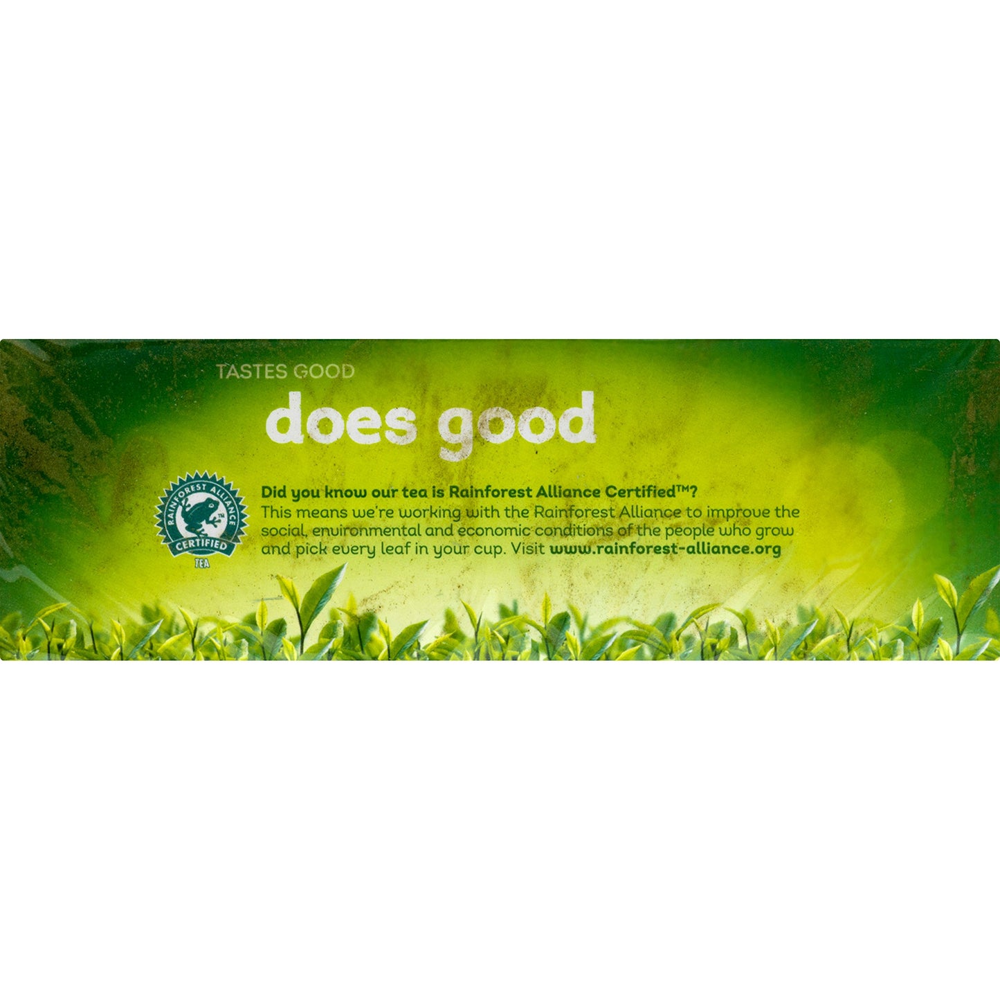 Lipton Green Tea, 100 Percent Natural, 100 Count (Pack Of 1)