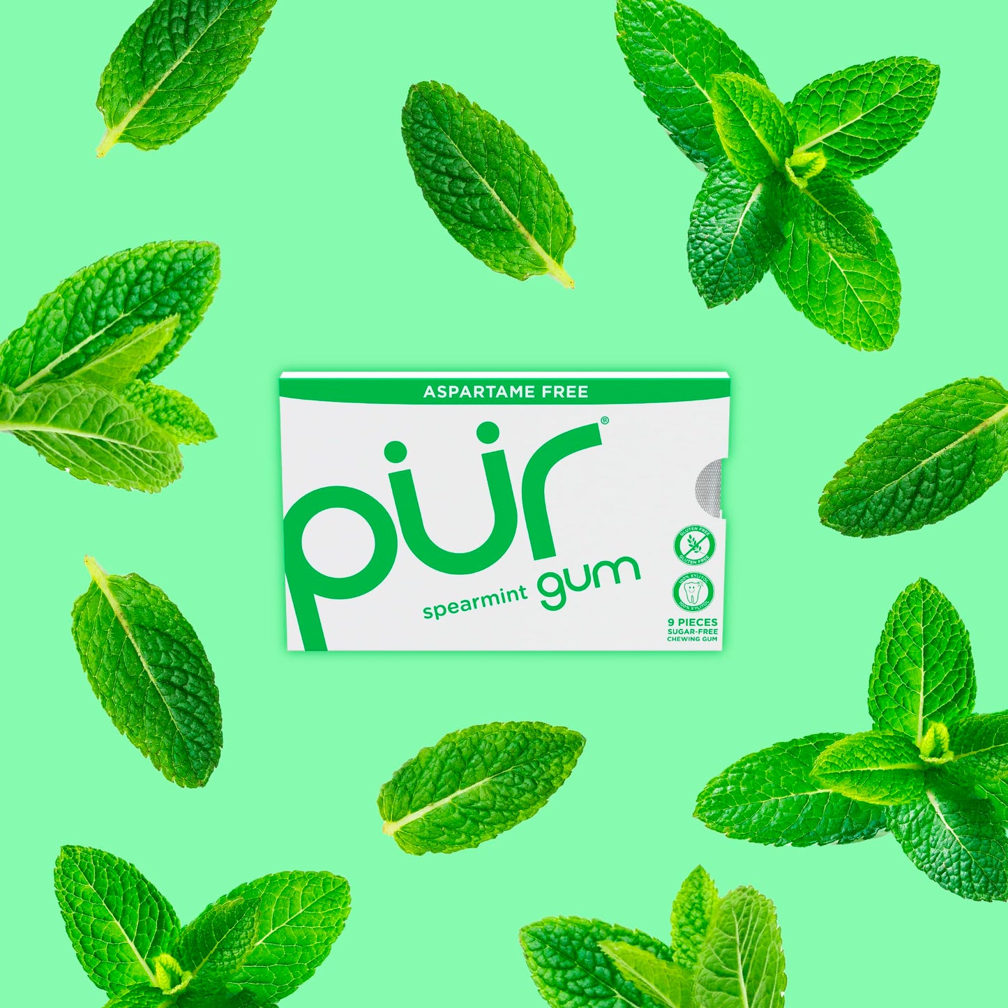 PUR Sugar Free Chewing Gum, 100% Xylitol, Vegan, Gluten Free, Natural Spearmint Flavor, 9 Count (Pack of 12)