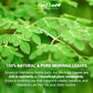 LeafLea Moringa Tea Bags - Premium Herbal Blend, Caffeine-Free, Sugar-Free, Vegan, Non-GMO, 120 Bags (Pack of 3)
