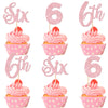 24 PCS 6th Birthday Cupcake Toppers Glitter Sixth Birthday Cupcake Picks Number 6 Cake Toppers for Baby Shower Kids 6th Birthday
