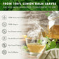 Premium Lemon Balm Leaf Tea Bags, 100% Natural & Pure from Lemon Balm Leaves. Loose Leaf Lemon Balm Herbal Tea. Lemon Balm Leaf Tea. No Sugar, No Caffeine, No Gluten, Vegan.