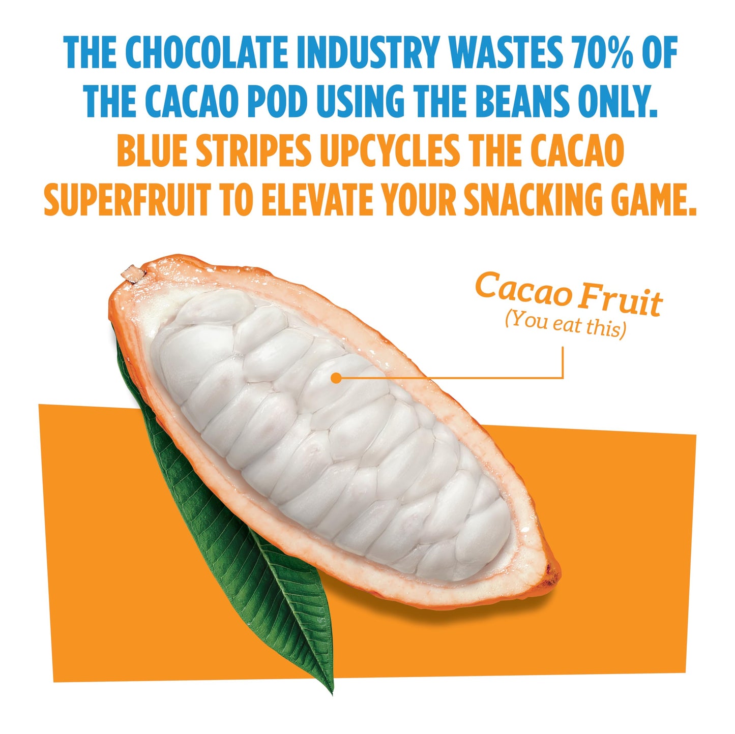 Blue Stripes Cacao Superfruit Gummies - Vegan Chewy Fruity Snack, No Sugar Added 100% Fruit Gummy, 9 Essential Vitamins & Minera