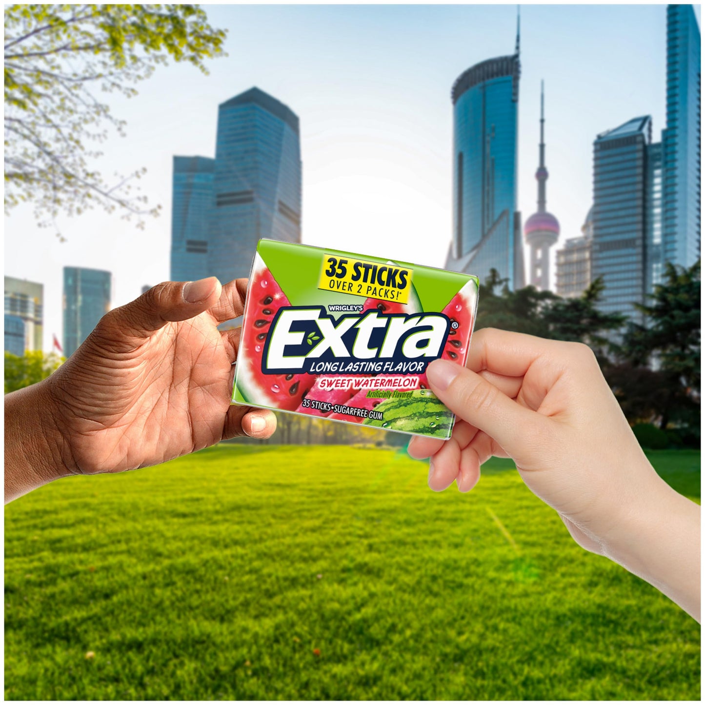 EXTRA Sweet Watermelon Sugar Free Chewing Gum Pack  35 Sticks (Pack of 6)  Mega Bulk Gum