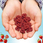 Real Fruit Snack - Strawberry (Pack Of 18) - Healthy, Bite-Sized, Non-Gmo, Vegan & Gluten-Free Snack For School Lunch - Fruit Sn