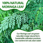 VIDA FARM Moringa Tea Bags, 100% Natural, Caffeine-Free, Vegan, 125 Count