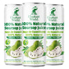 ELEPHANT WORLD Soursop Guanabana Juice 10.8 oz (Pack of 6)