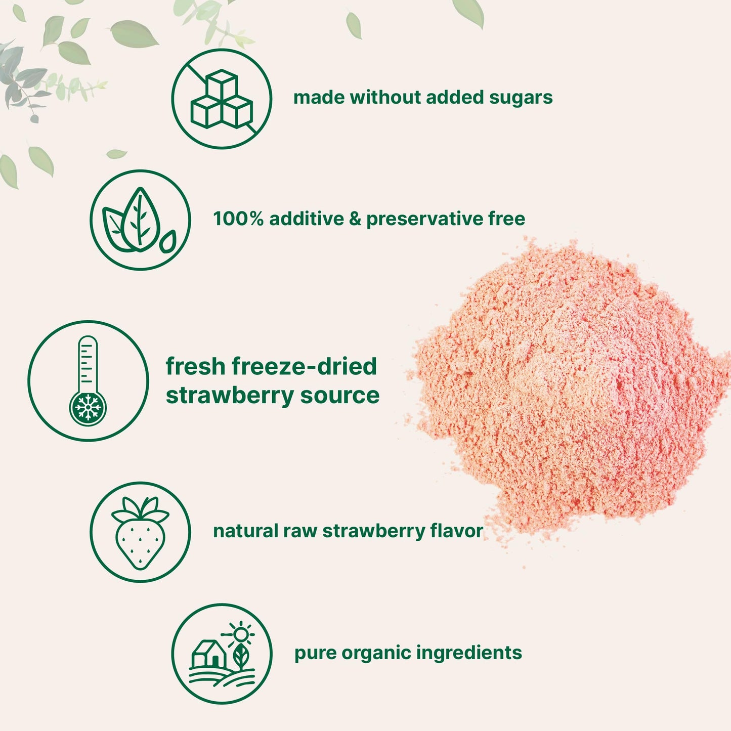 Organic Strawberry Freeze Dried Powder, 12 Ounce (56 Serving), Strawberry Powder For Baking, Best Super Foods For Smoothie & Beverage Blend, Non-Gmo, Vegan