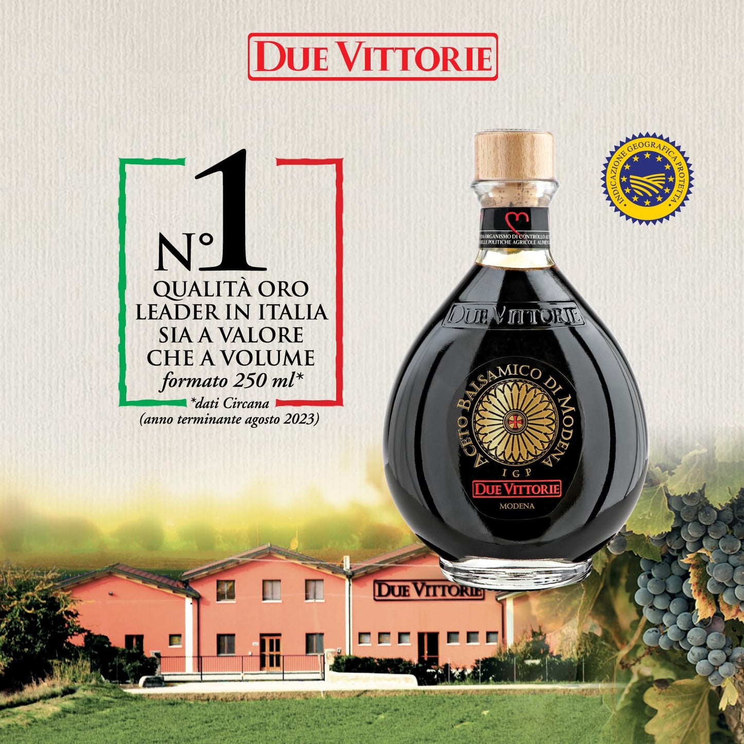 Due Vittorie Balsamic Vinegar, Barrel Aged, 8.45 fl oz / 250ml, IGP Modena, All-Natural, Cork Pourer, Extra Dense
