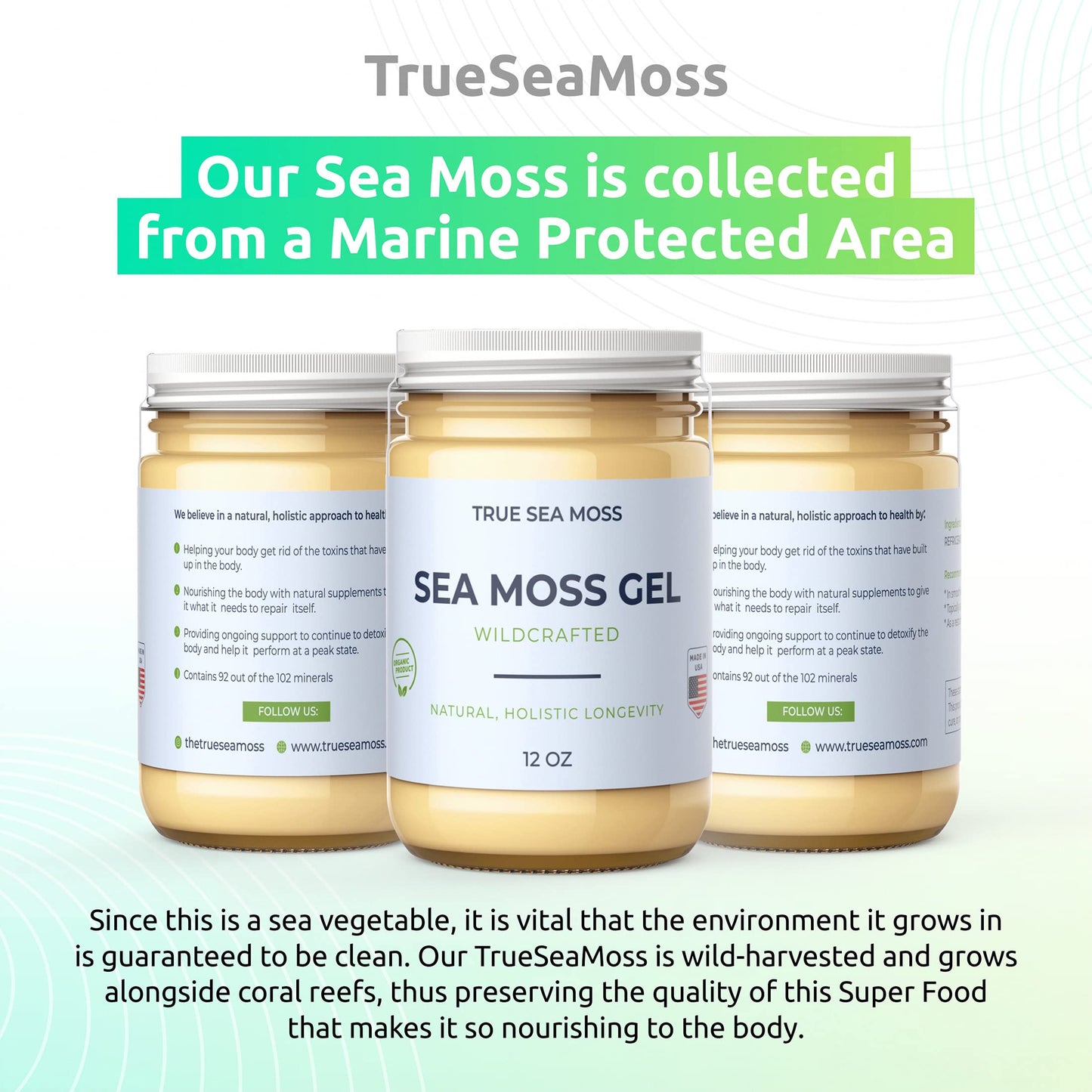 TrueSeaMoss Sea Moss Gel - Made in USA - Wildcrafted Seamoss, Dried Seaweed & Jarred Vegetables - Original, Pack of 1 (Labels ma