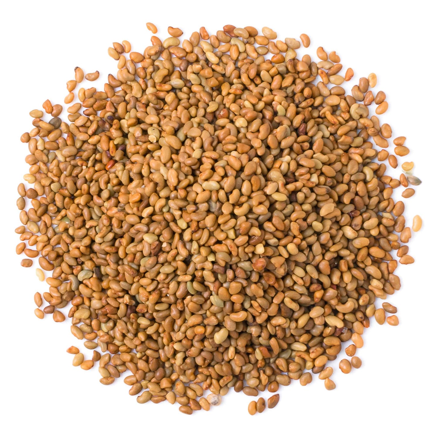 Food To Live Alfalfa Seeds For Sprouting, 3 Pounds - Edible Seeds, Pure, Vegan, Kosher, Bulk. Rich In Vitamin K & C. High Germit