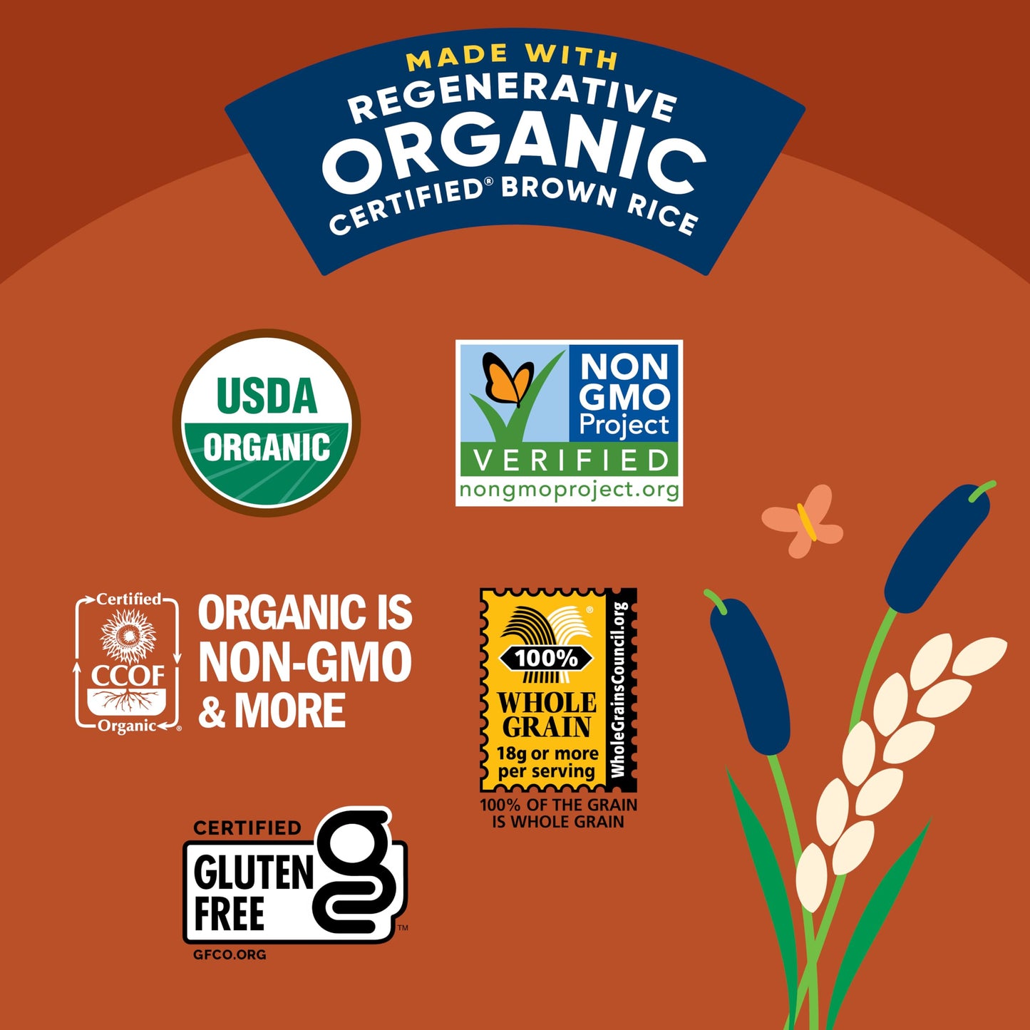 Lundberg Rice Cakes - Organic Whole Grain Cinnamon Toast Rice Cakes, Salt-Free, Healthy Snacks For Adults And Kids, Gluten-Free