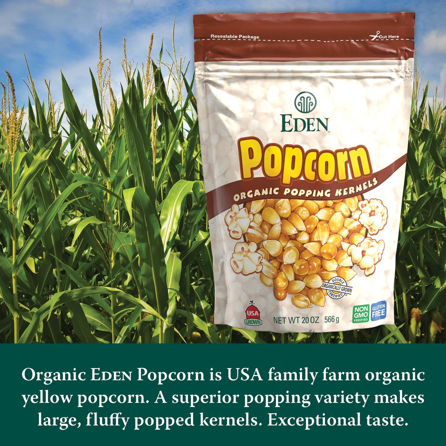 Eden Organic Yellow Popcorn Kernels, Non Gmo, Superior Popping Variety, 100% Whole Grain, 20 Oz (2-Pack)