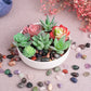 Sigmntun Polished Stone Set - 72 Pcs Handpicked Natural Tumbled Stones And Crystals Bulk For Healing, Reiki, Meditation, Witchcr