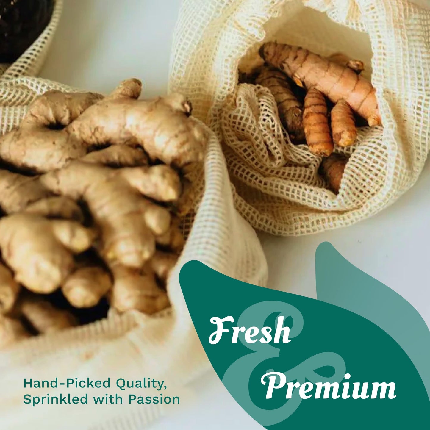 1 Lb Kejora Fresh Ginger and Turmeric Root Combo - Fresh Hand Picked (1, Pound) Not for Planting