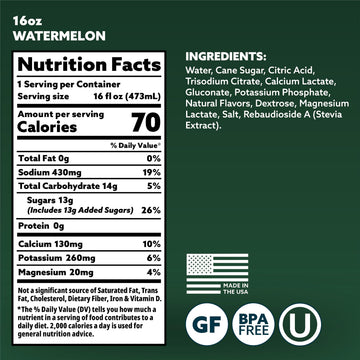 HOIST Premium Hydration Electrolyte Drink, Watermelon Flavor, 16 Fl Oz (Pack of 12)