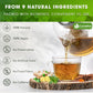 Lavendium Herbal Tea - Caffeine-Free Detox Tea with Chamomile, Hibiscus & Ginger Root - 100 Bags