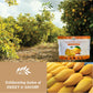 Chavi Dried Chili Mango | 28 Oz | Pack Of 2 X 14 Oz | No Added Sugars | Naturally Sweet | Healthy Sinple Ingredients Superfood -