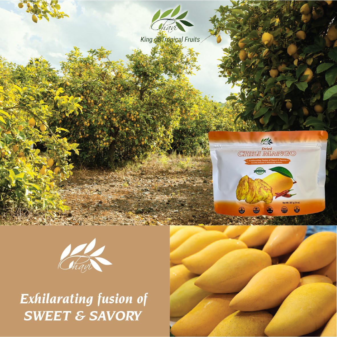 CHAVI Dried Chili Mango Snacks | No Added Sugars | Vegan, Non-GMO | 14 oz