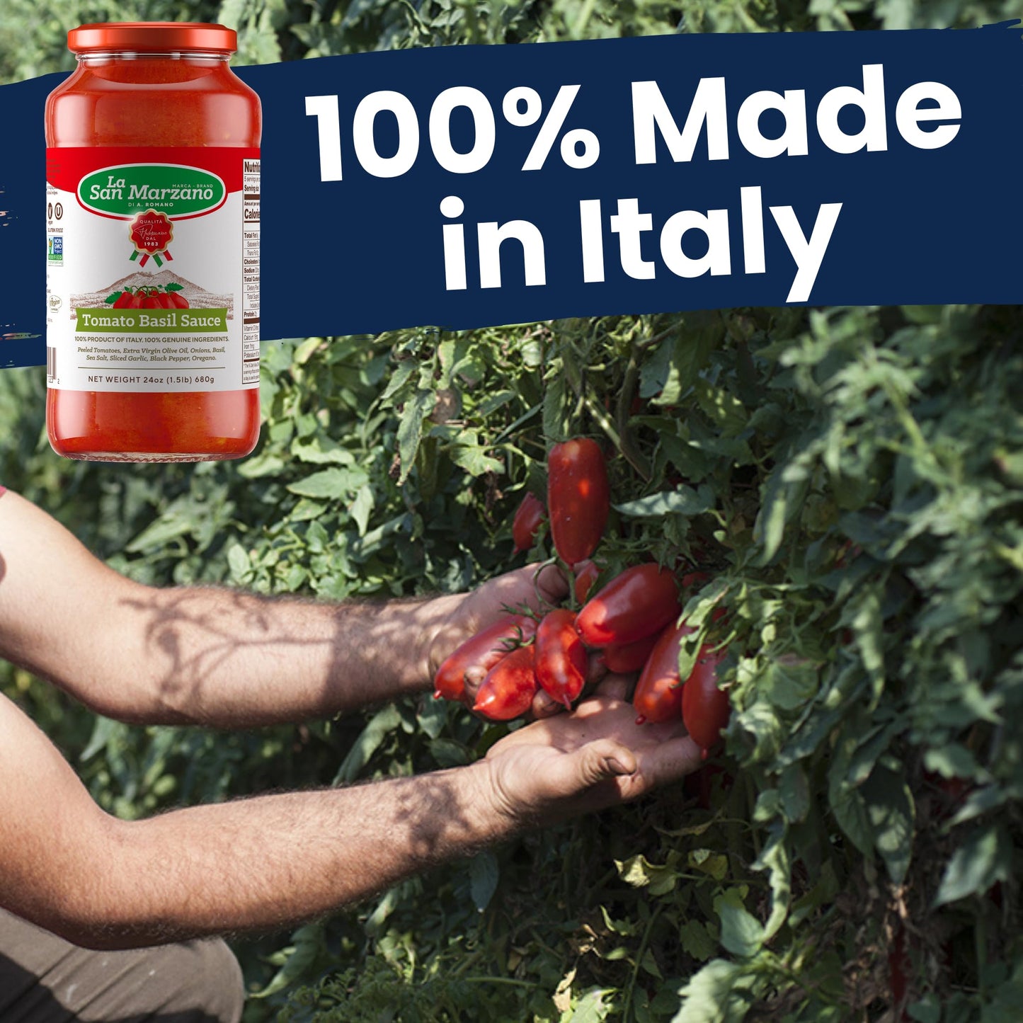 La San Marzano Tomato Basil Sauce, 24 Oz, Pasta Sauce Made In Italy, All Purpose Tomato Enhanced Quality, All Natural, Mediterranean Diet, Non Gmo, Vegan, Gluten Free