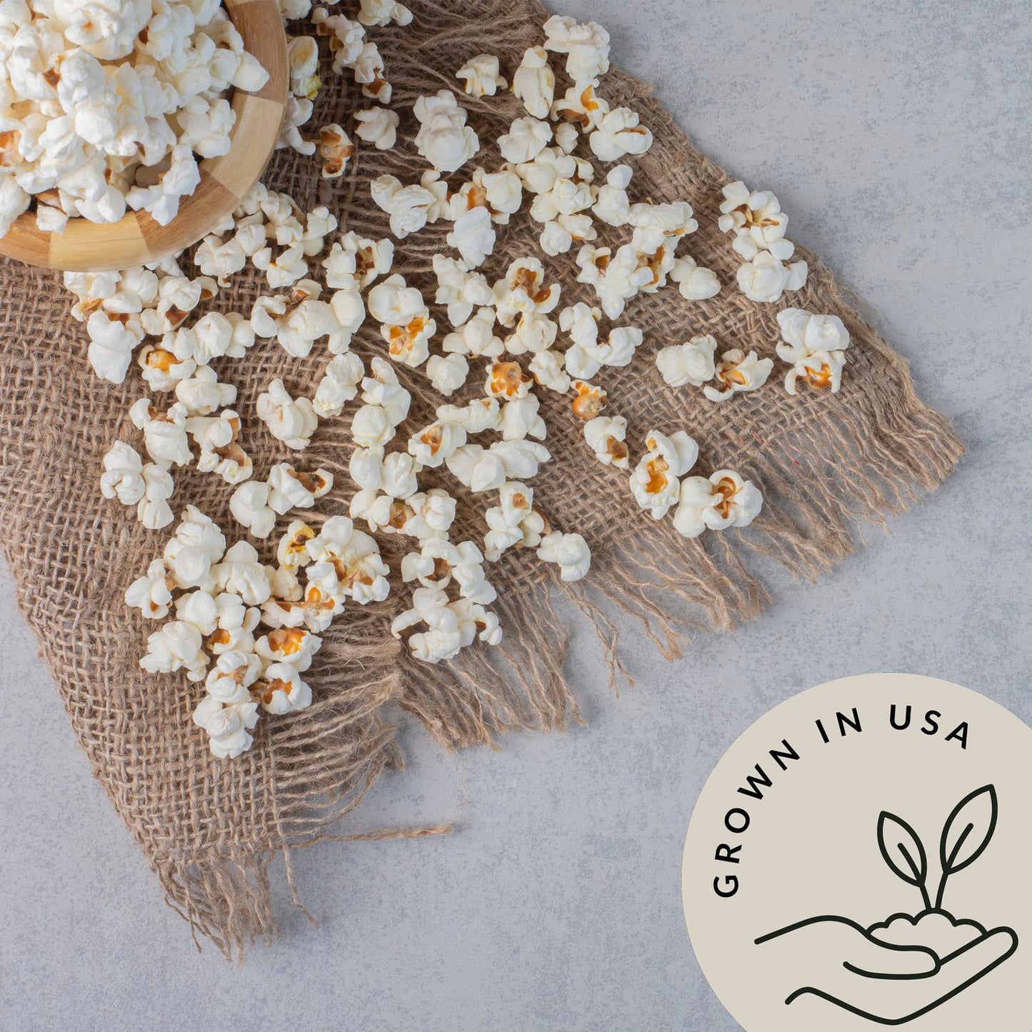 Be Still Farms Organic Hulless Popcorn Kernels - 2.8lb, Non-GMO, Vegan, USA Grown